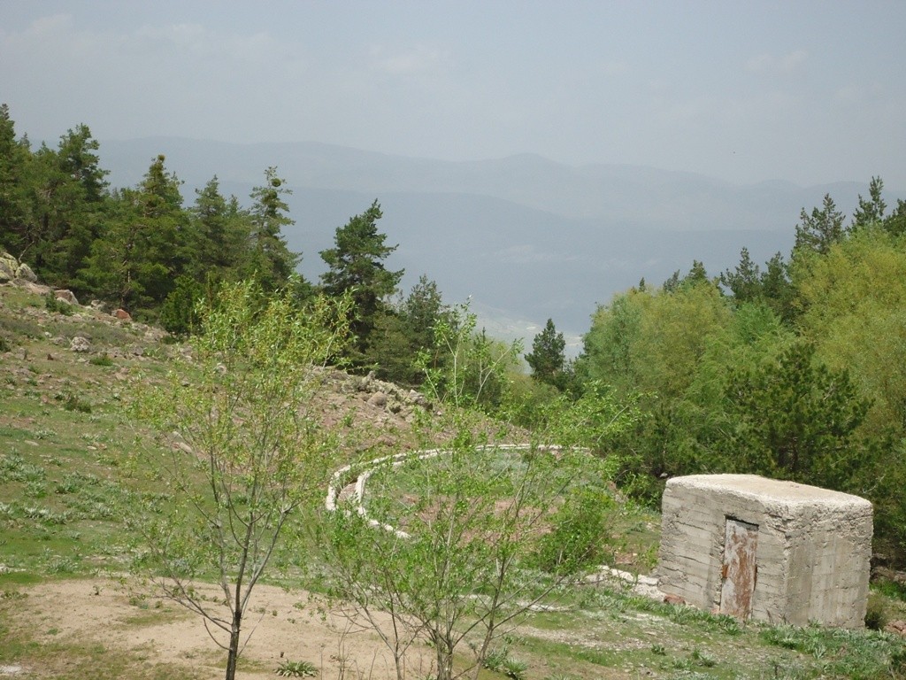 DSC02804.JPG