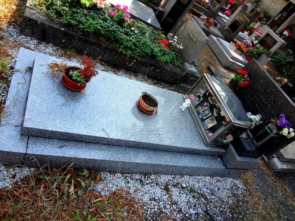 DSC02809 (Large).JPG