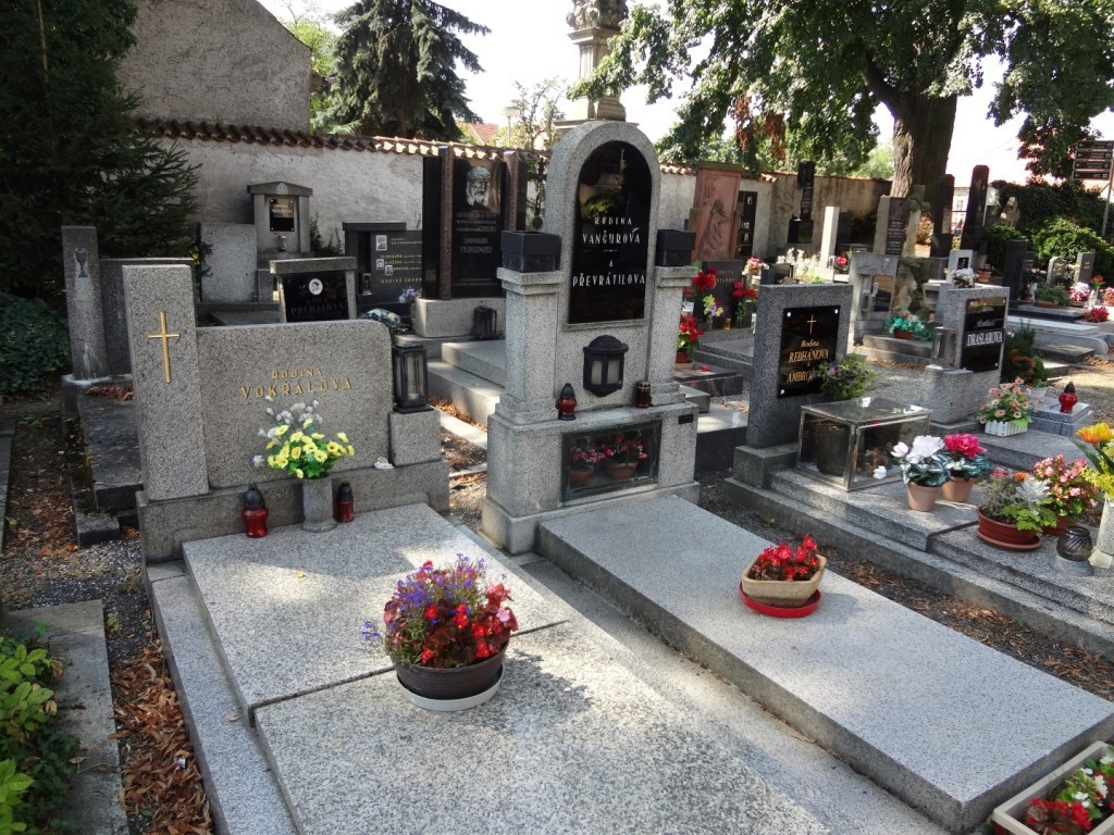DSC02810 (Large).JPG