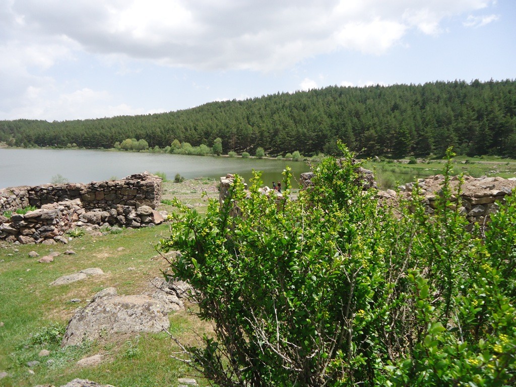 DSC02816.JPG