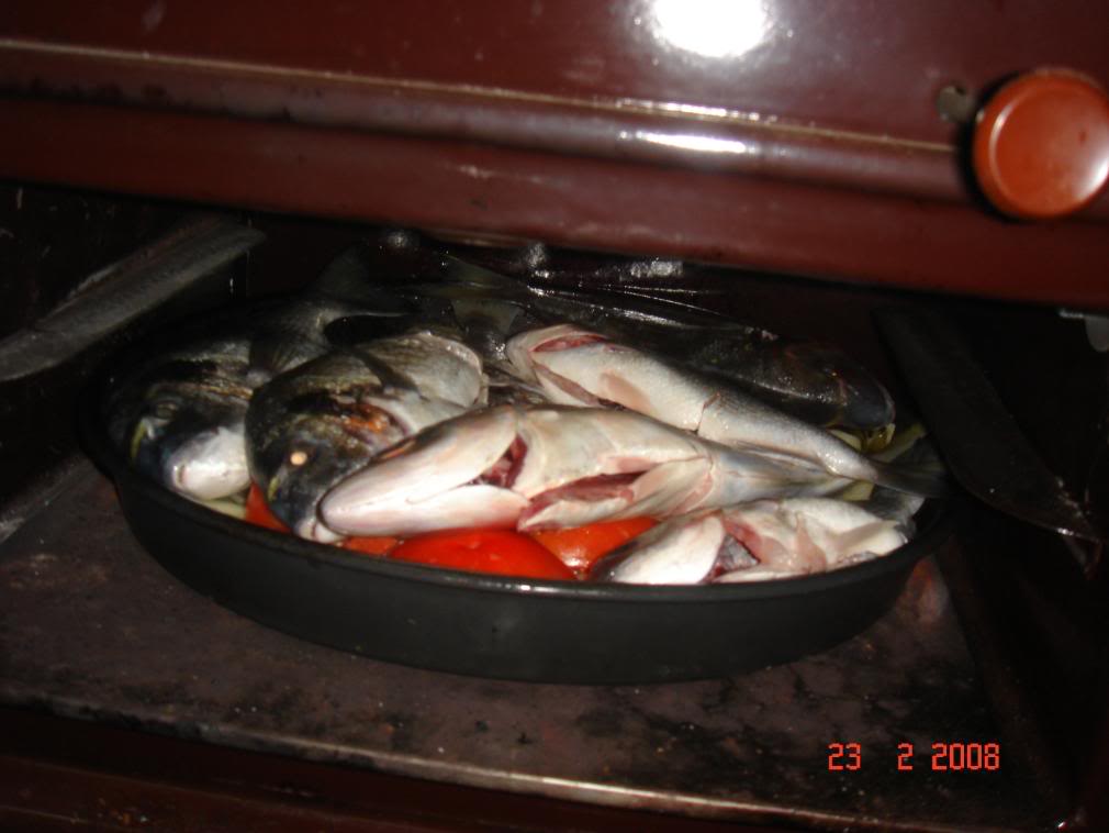 DSC02817.jpg