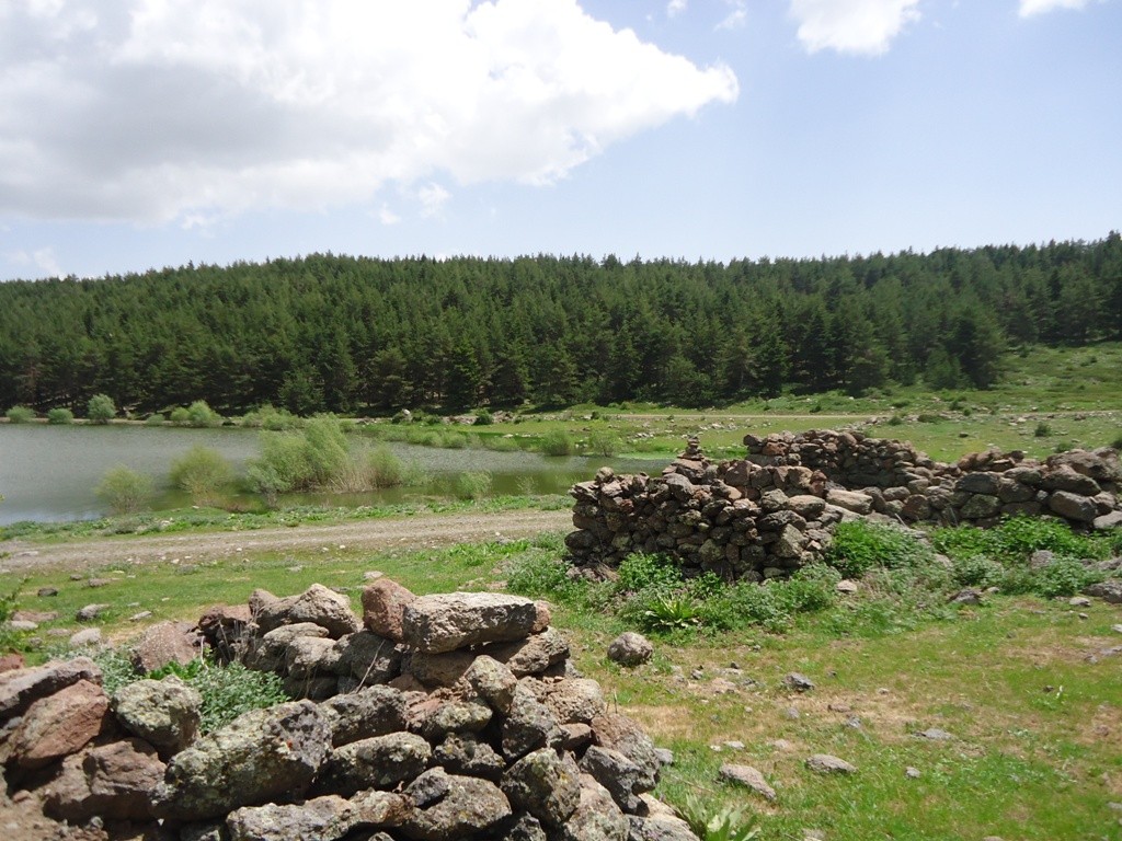 DSC02824.JPG