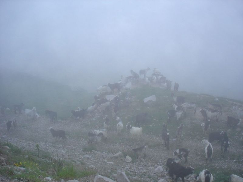 DSC02824.jpg