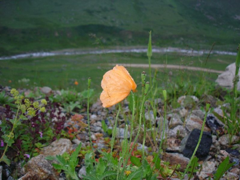DSC02825.jpg