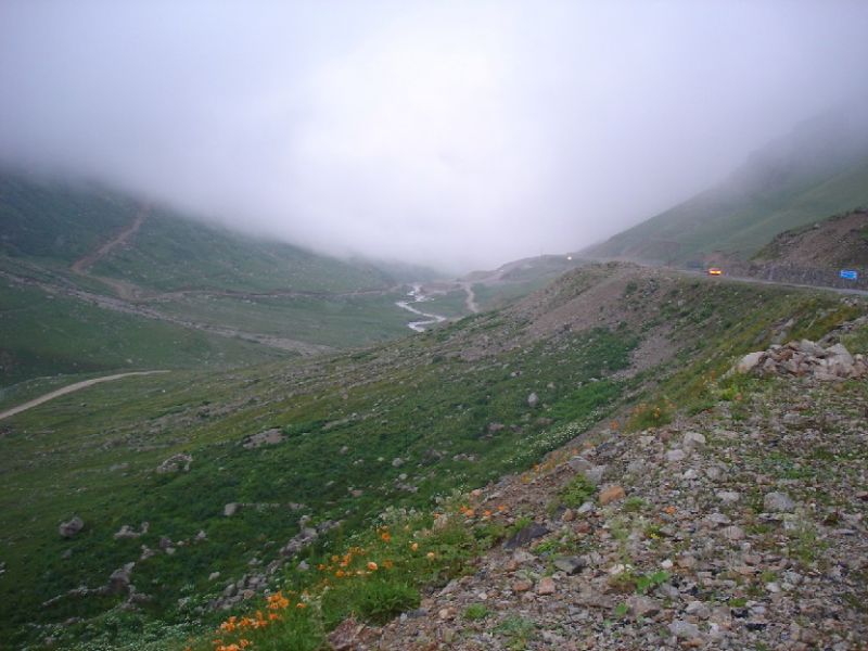 DSC02827.jpg