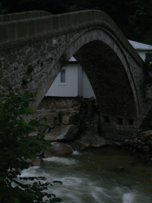 DSC02834.jpg
