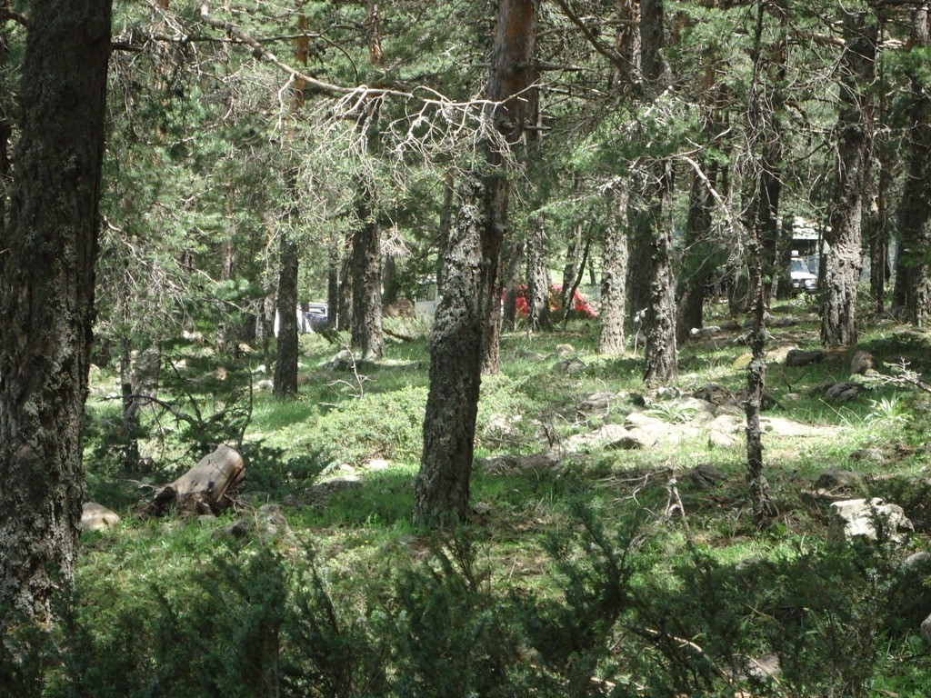 DSC02837.JPG