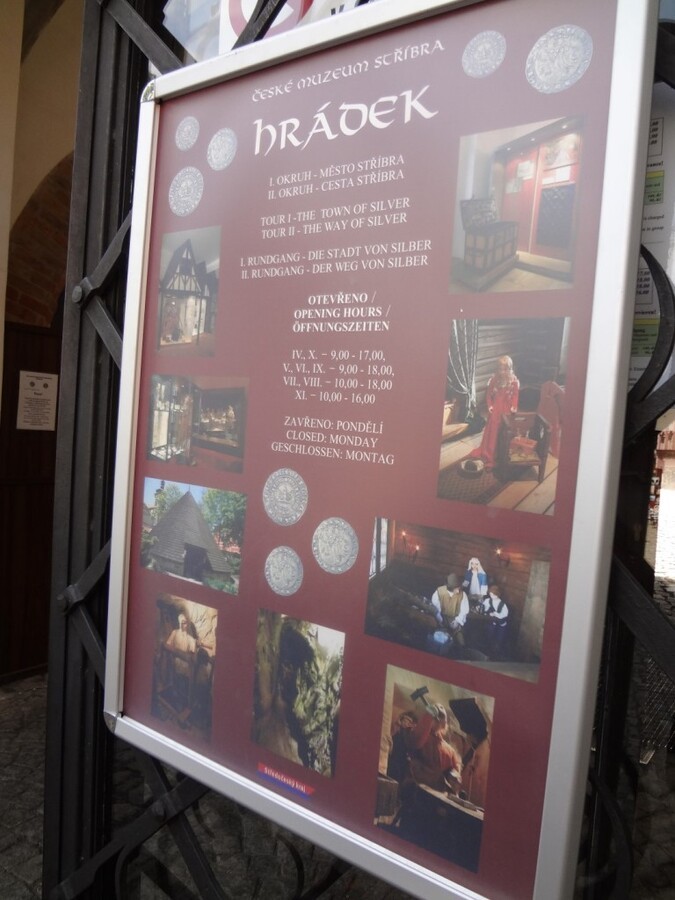 DSC02859 (Large).JPG