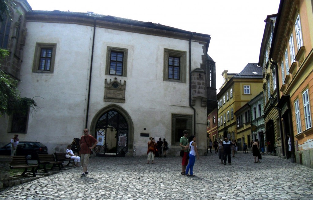 DSC02860. (Large).JPG