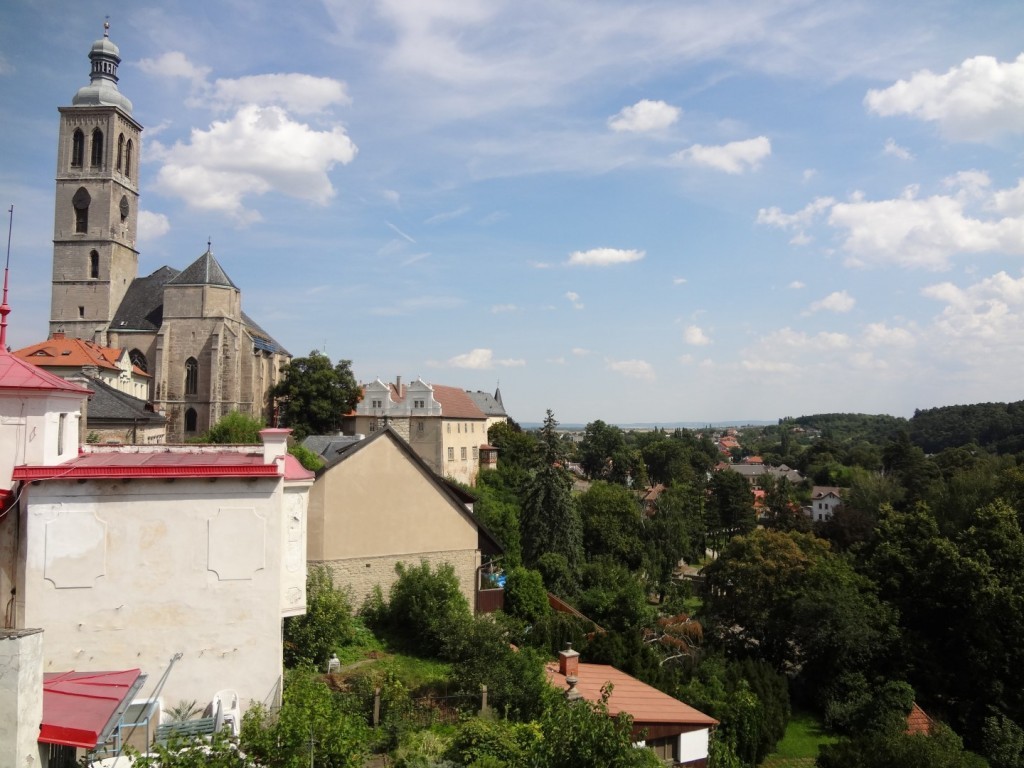 DSC02869 (Large).JPG
