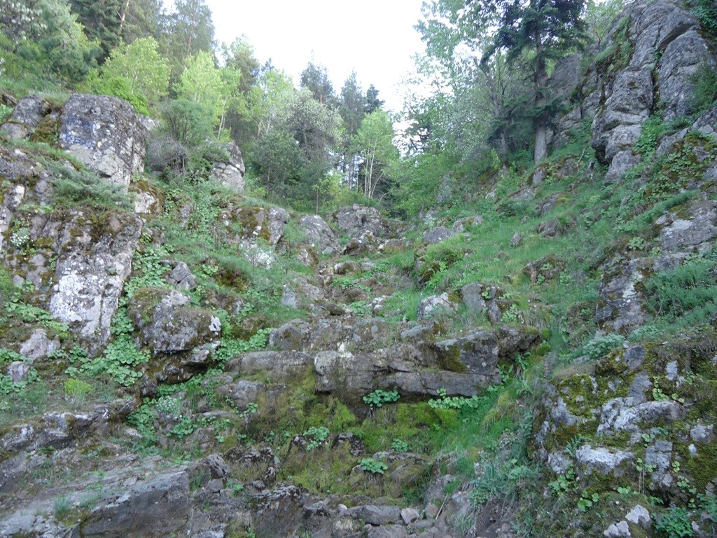 DSC02878.JPG