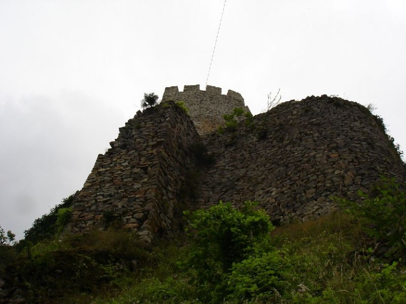 DSC02895.jpg