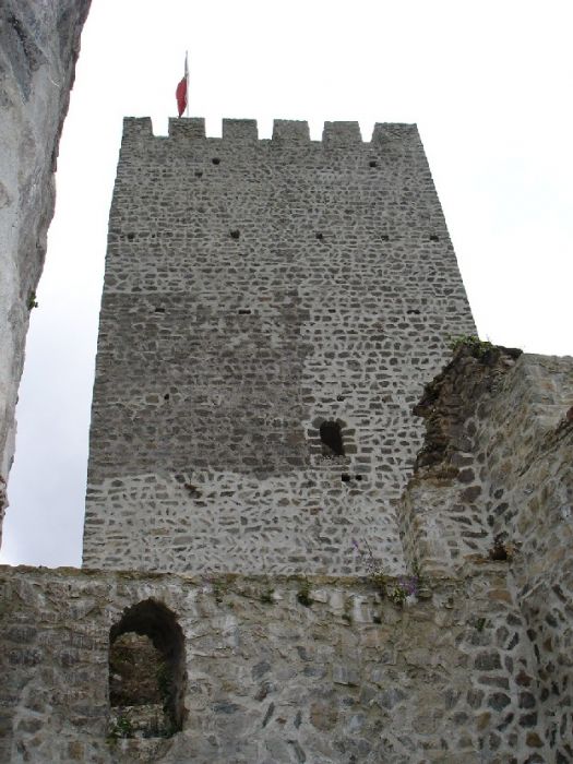 DSC02907.jpg