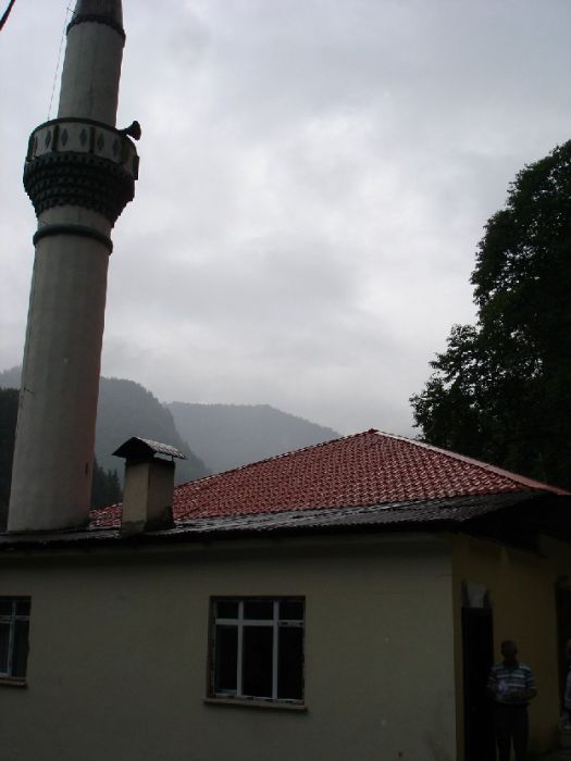 DSC02937.jpg
