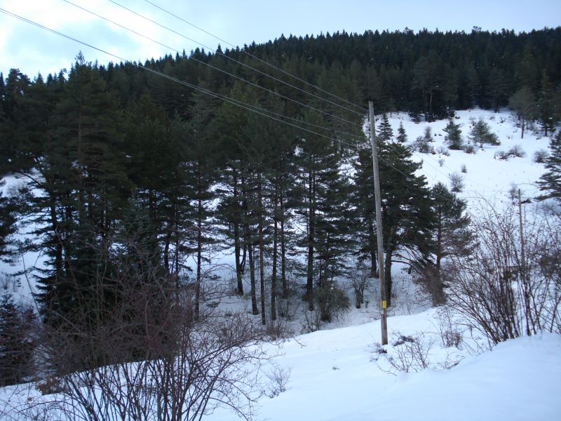 DSC02940.jpg