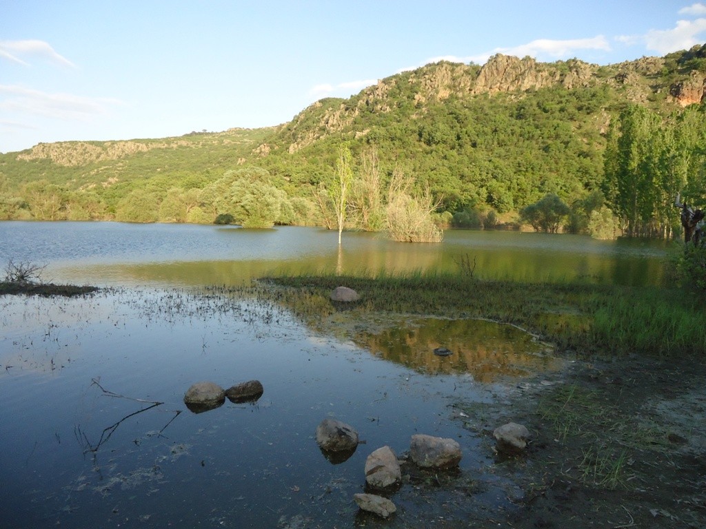 DSC02959.JPG