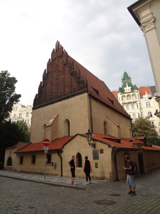 DSC02960 (Large).JPG