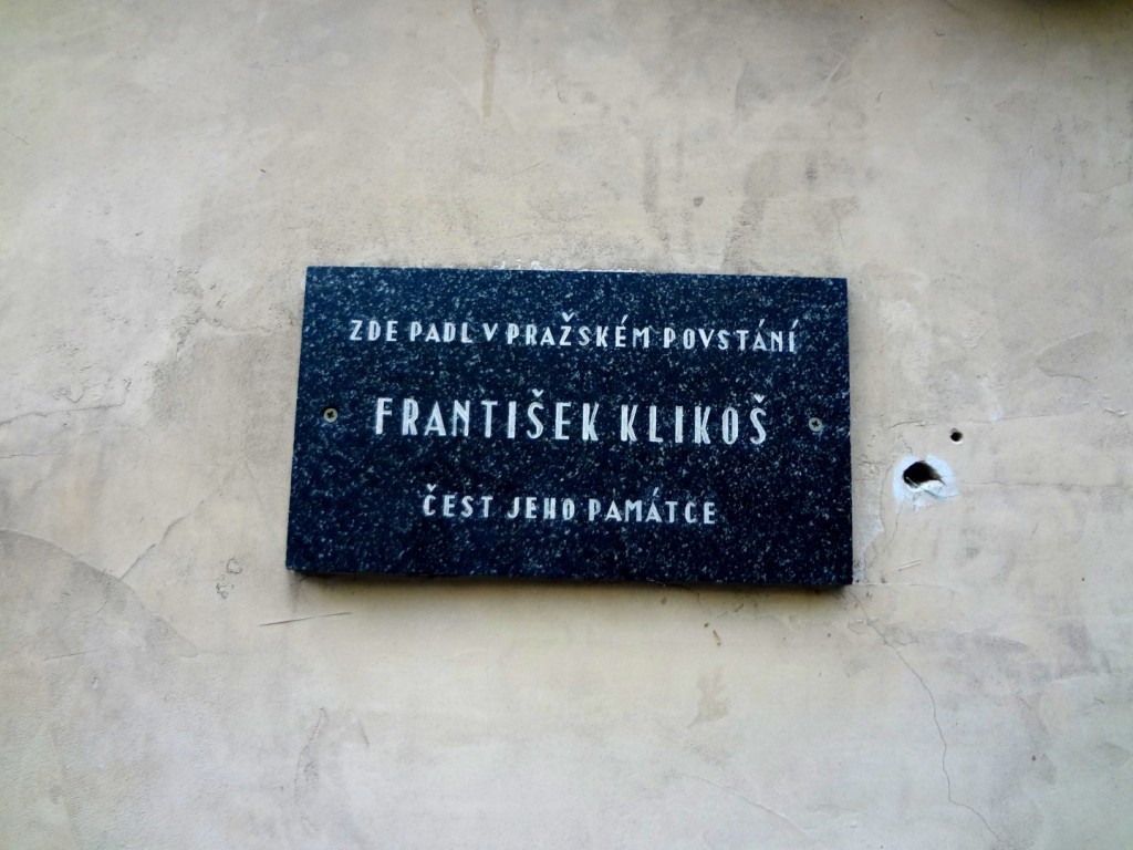 DSC02966 (Large).JPG