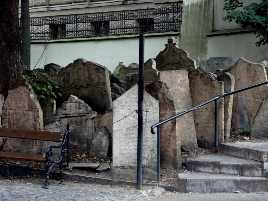 DSC02976 (Large).JPG