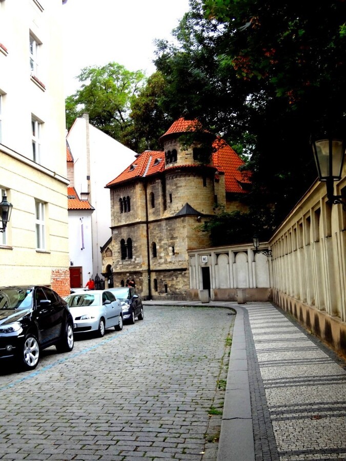 DSC02982 (Large).JPG