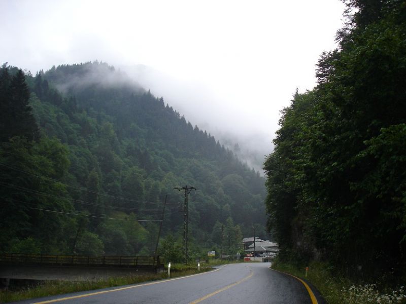 DSC02994.jpg