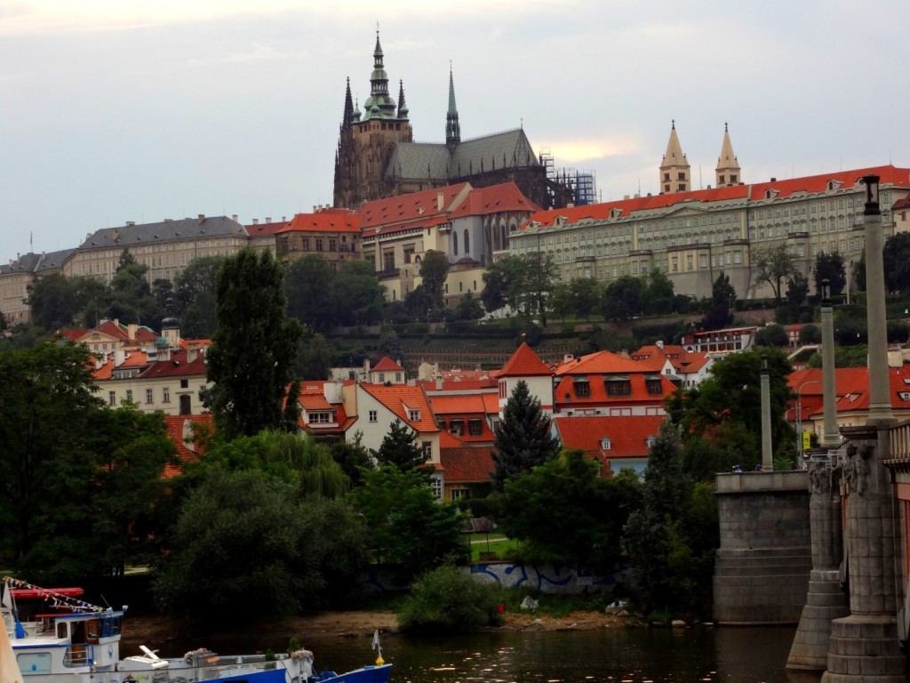 DSC02999 (Large).JPG