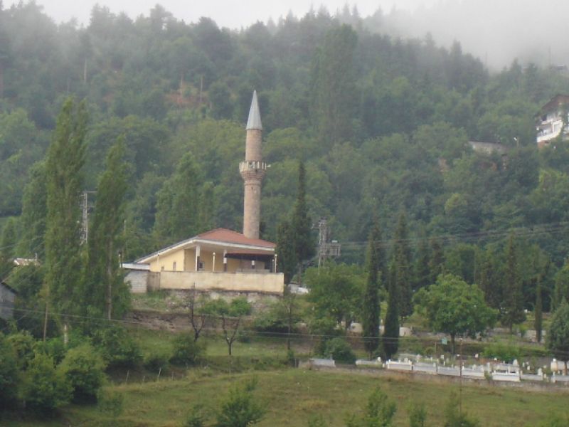 DSC03004.jpg
