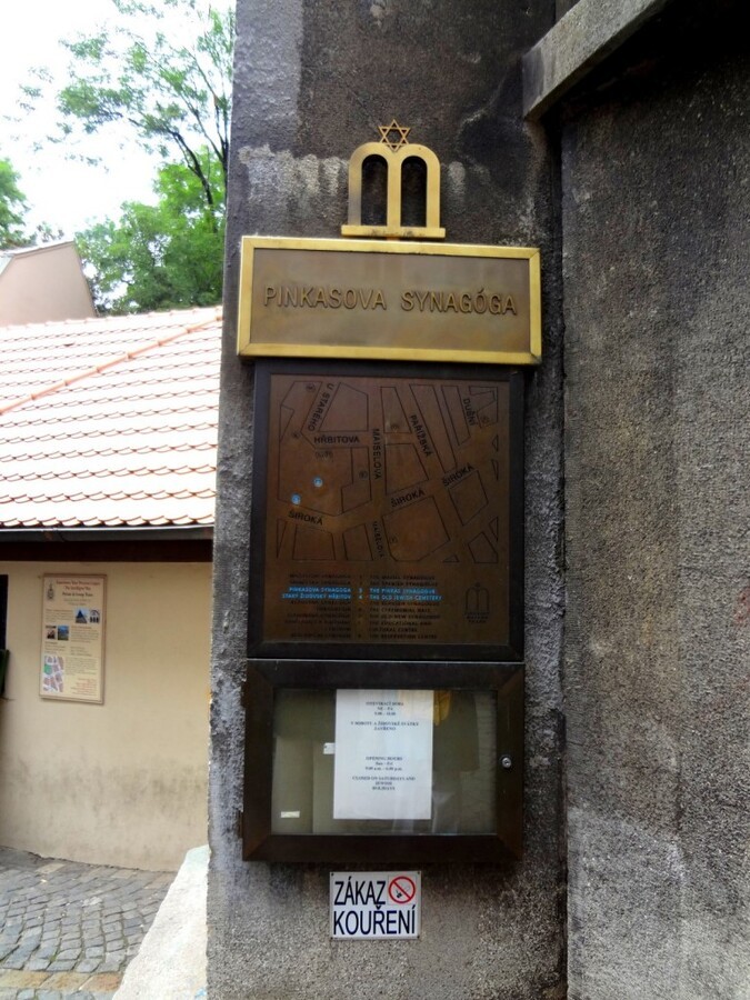 DSC03039 (Large).JPG