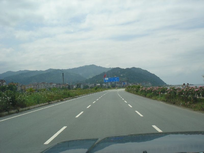 DSC03051.jpg