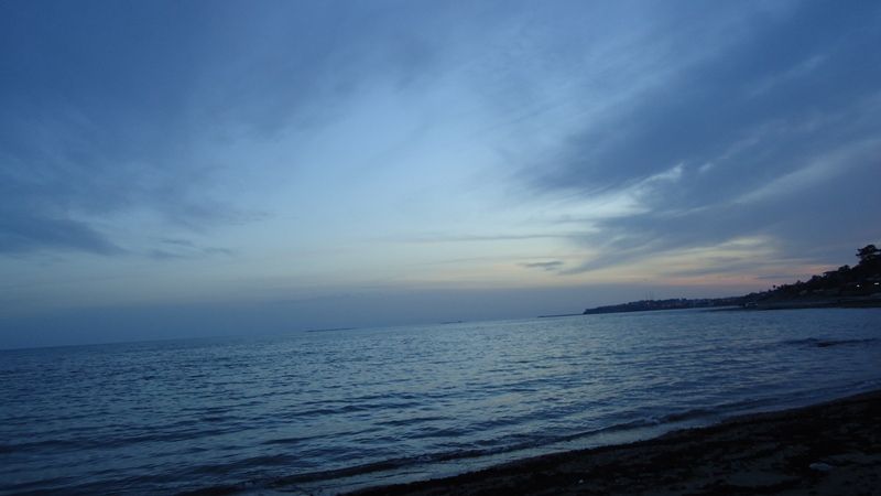 DSC03062.jpg