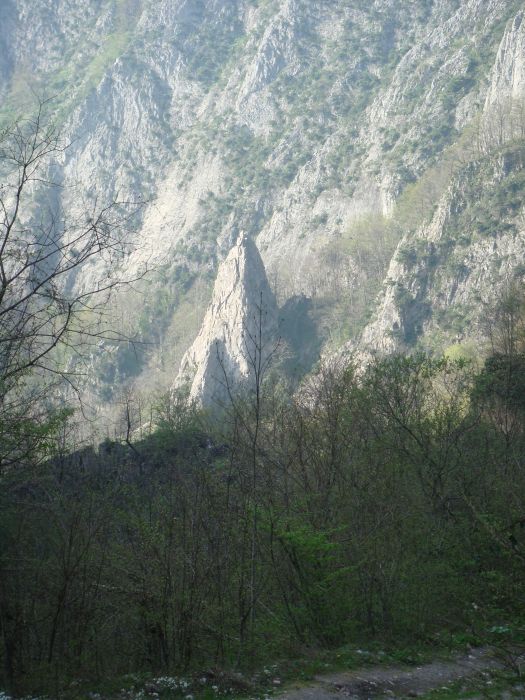 DSC03067.jpg