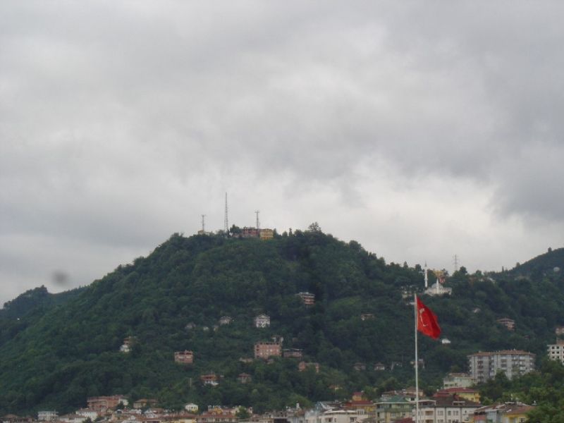 DSC03074.jpg