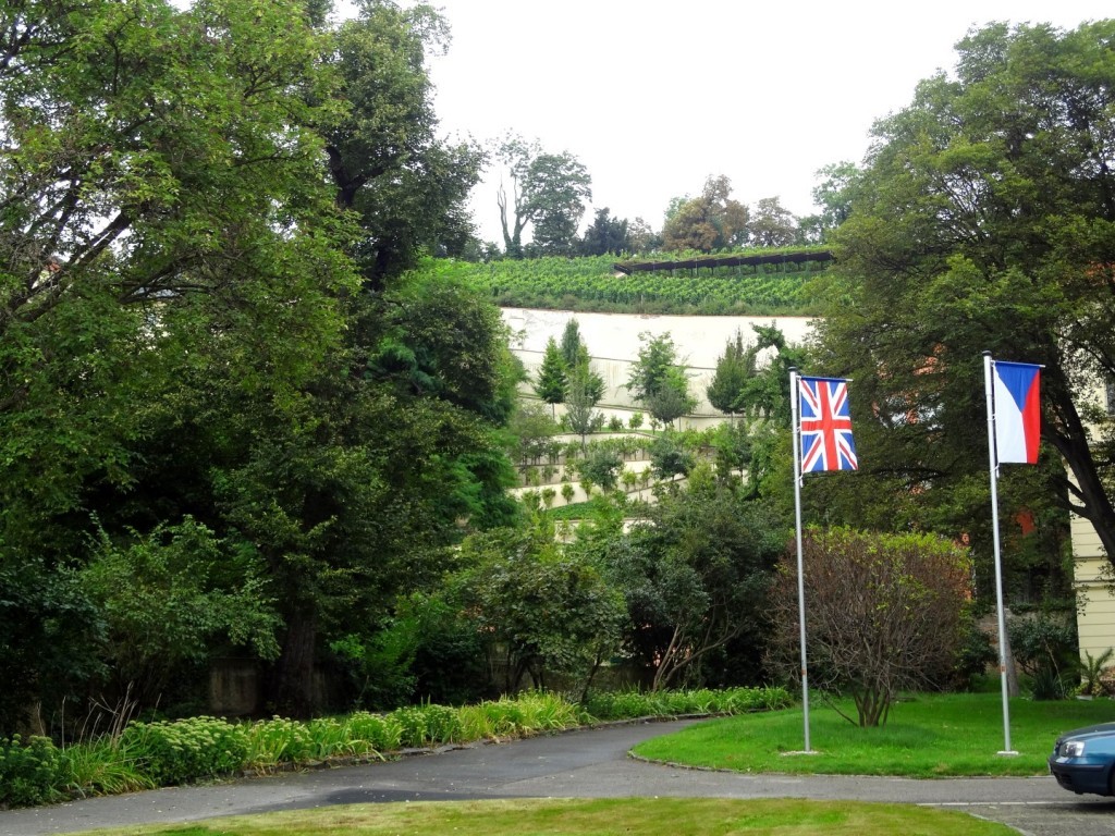 DSC03090 (Large).JPG
