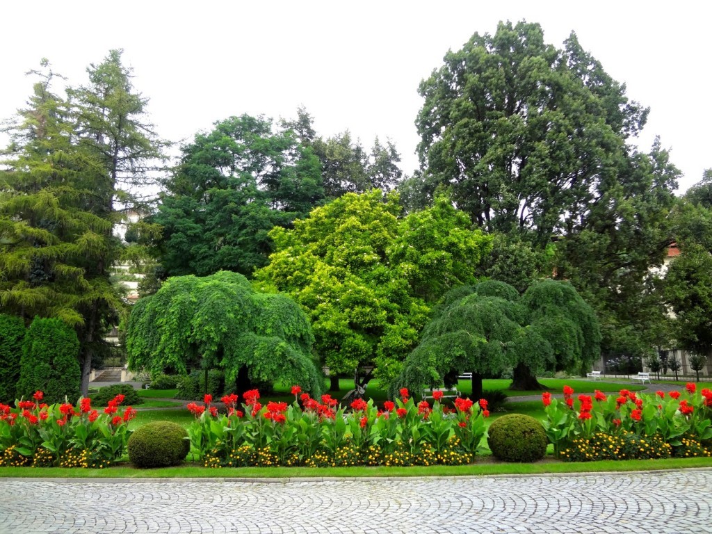 DSC03091 (Large).JPG