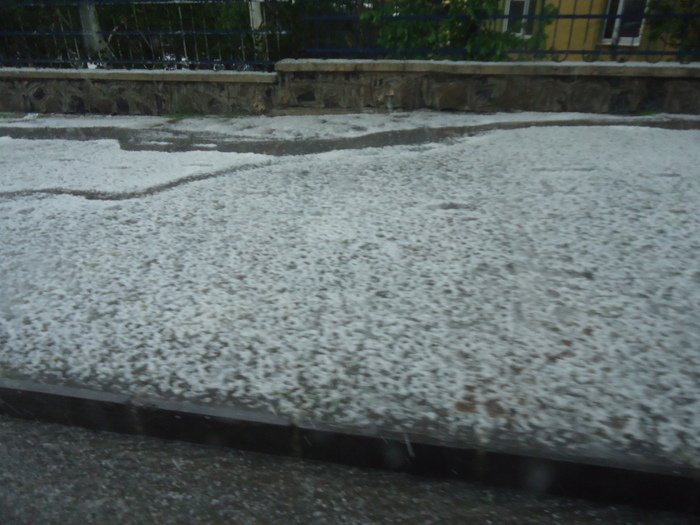 DSC03093.JPG