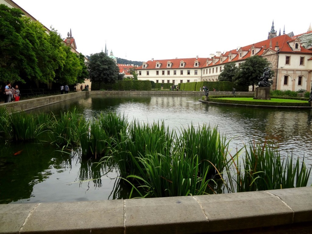 DSC03094 (Large).JPG