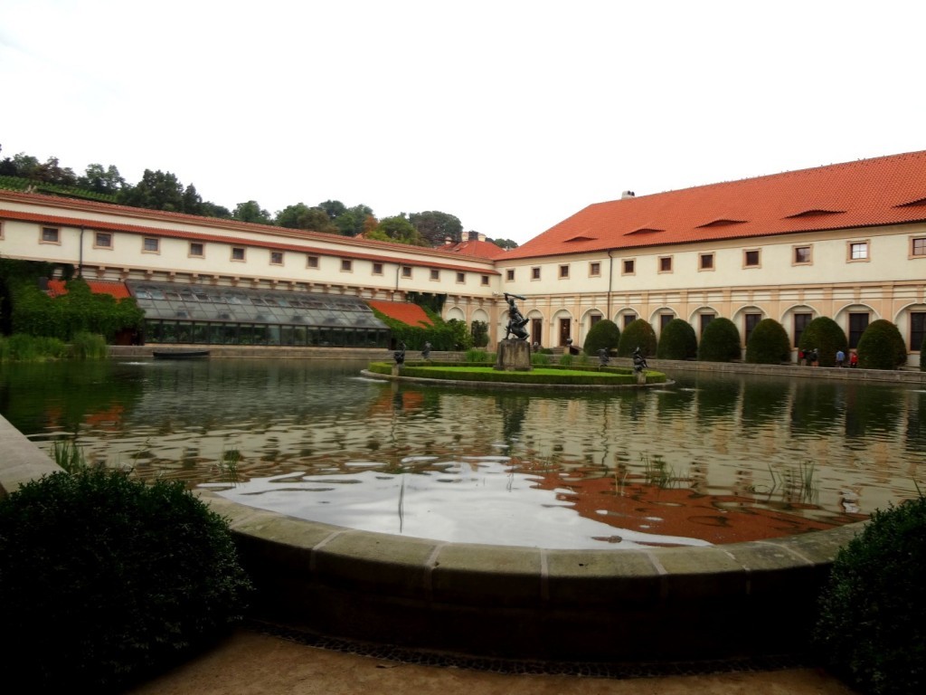 DSC03098 (Large).JPG