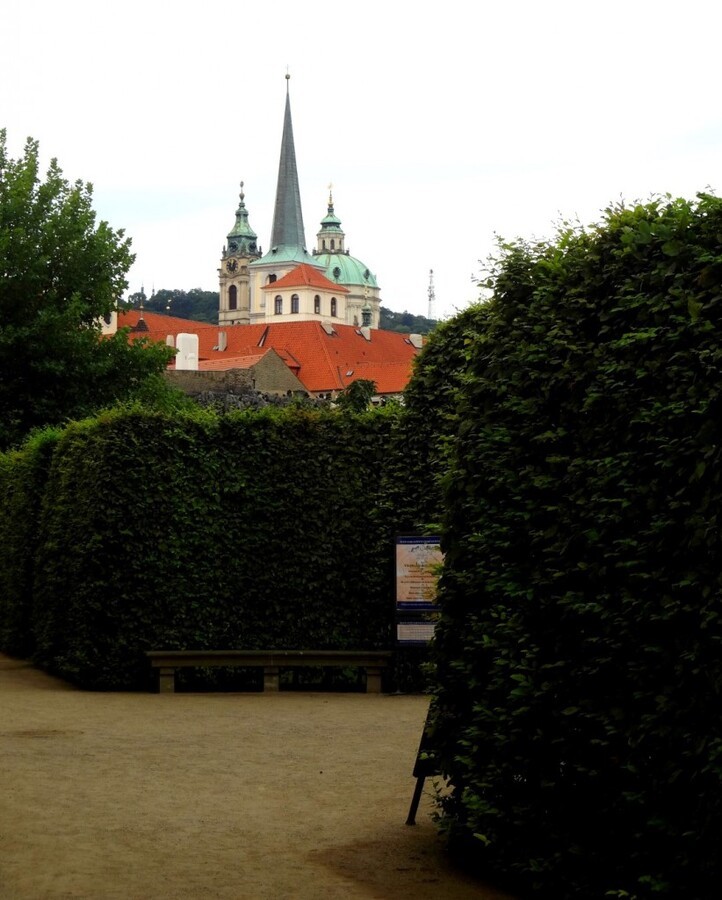 DSC03099 (Large).JPG