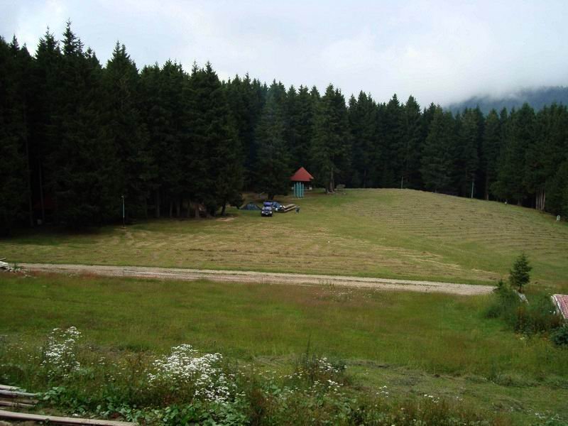 DSC03109.jpg