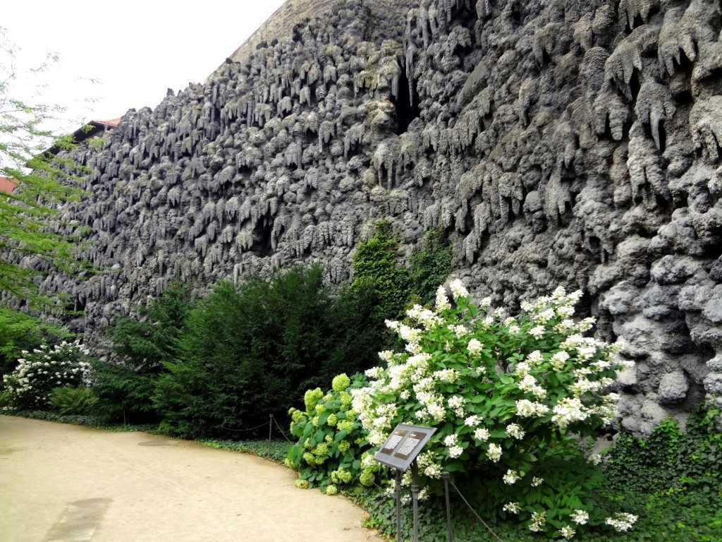 DSC03117 (Large).JPG