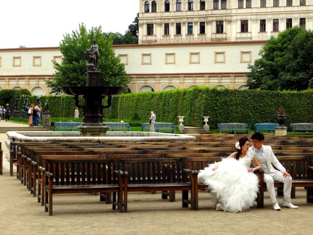 DSC03128 (Large).JPG