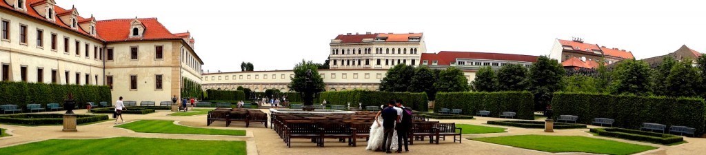 DSC03129 (Large).JPG