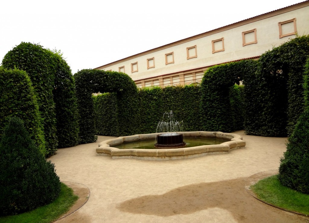 DSC03134 (Large).JPG