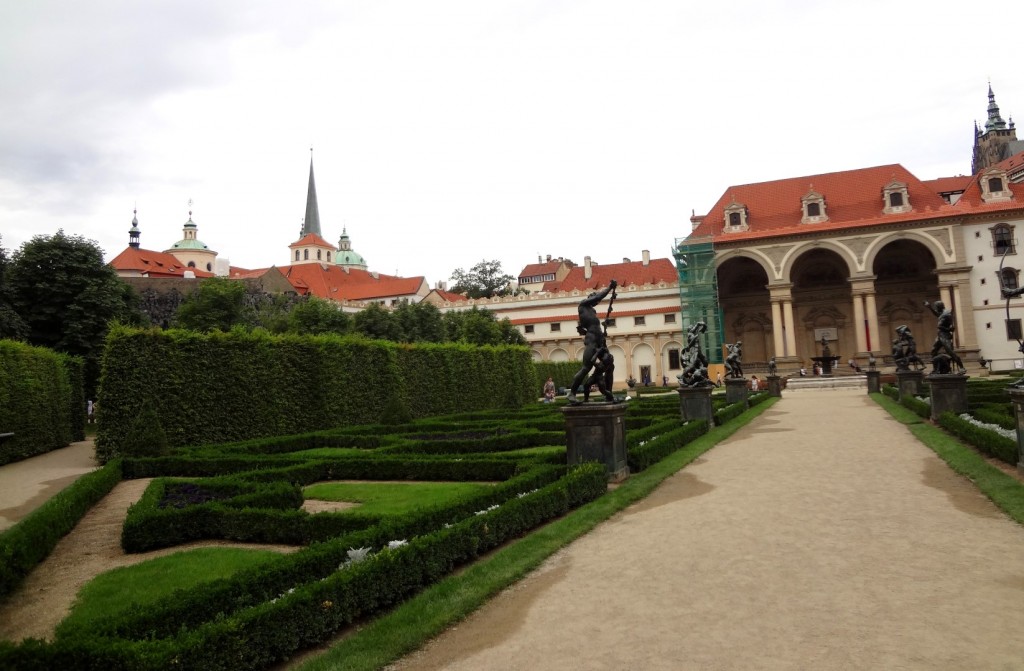 DSC03135 (Large).JPG