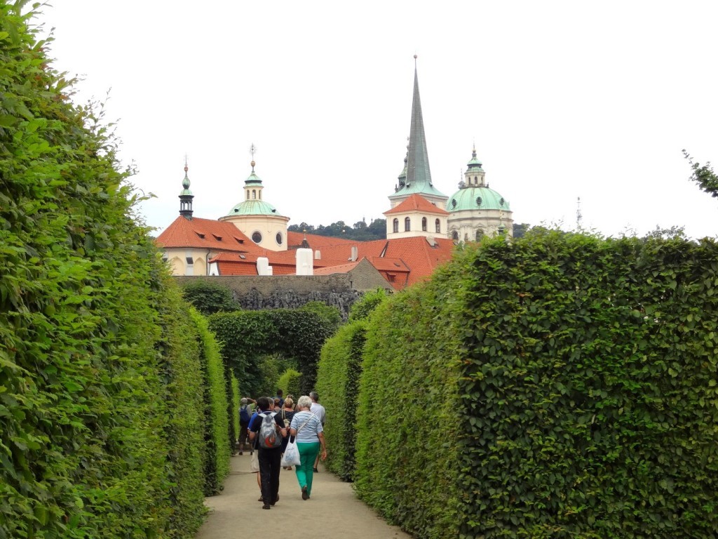 DSC03138 (Large).JPG