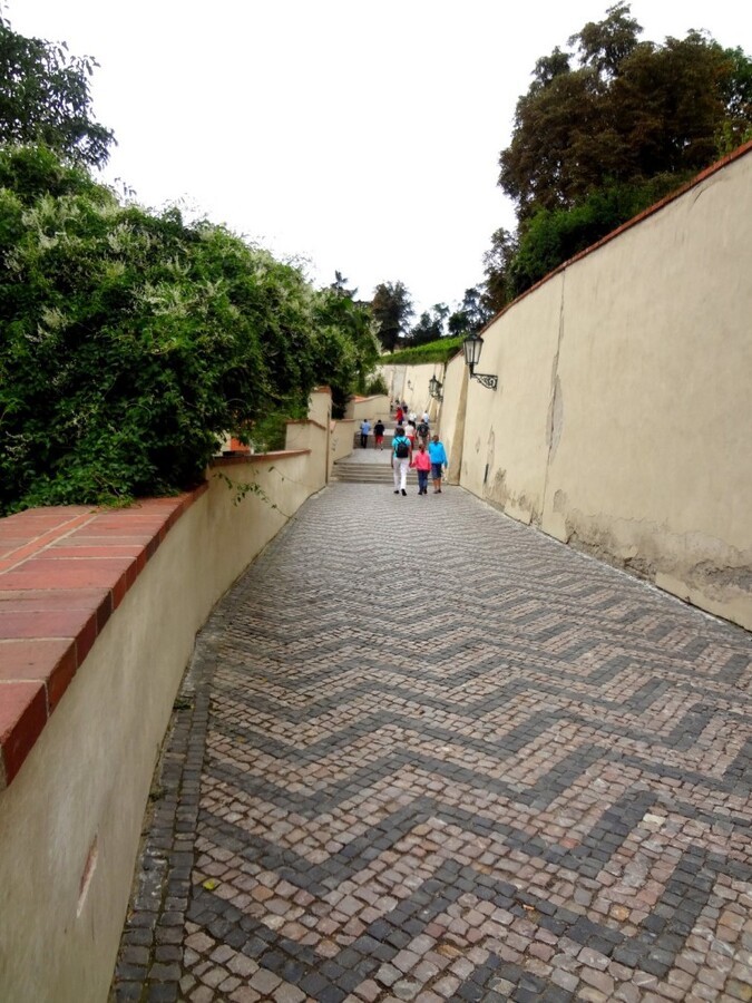 DSC03141 (Large).JPG