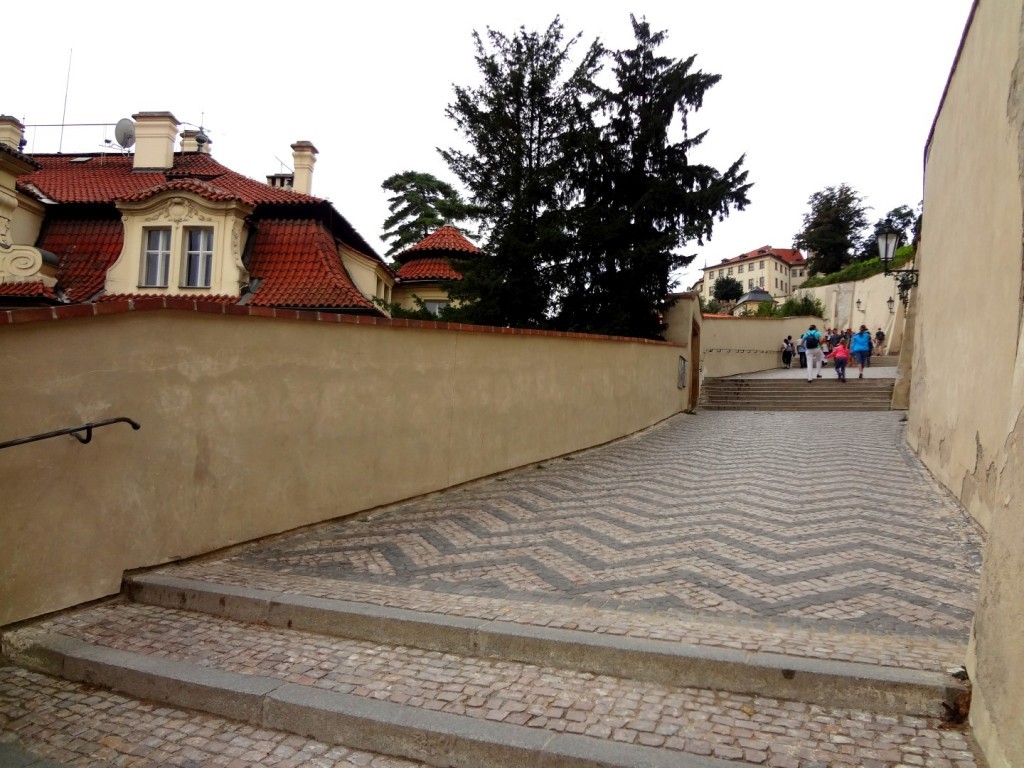 DSC03143 (Large).JPG