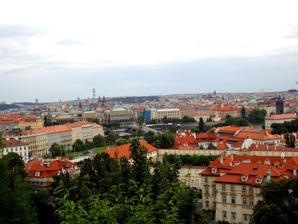 DSC03157 (Large).JPG