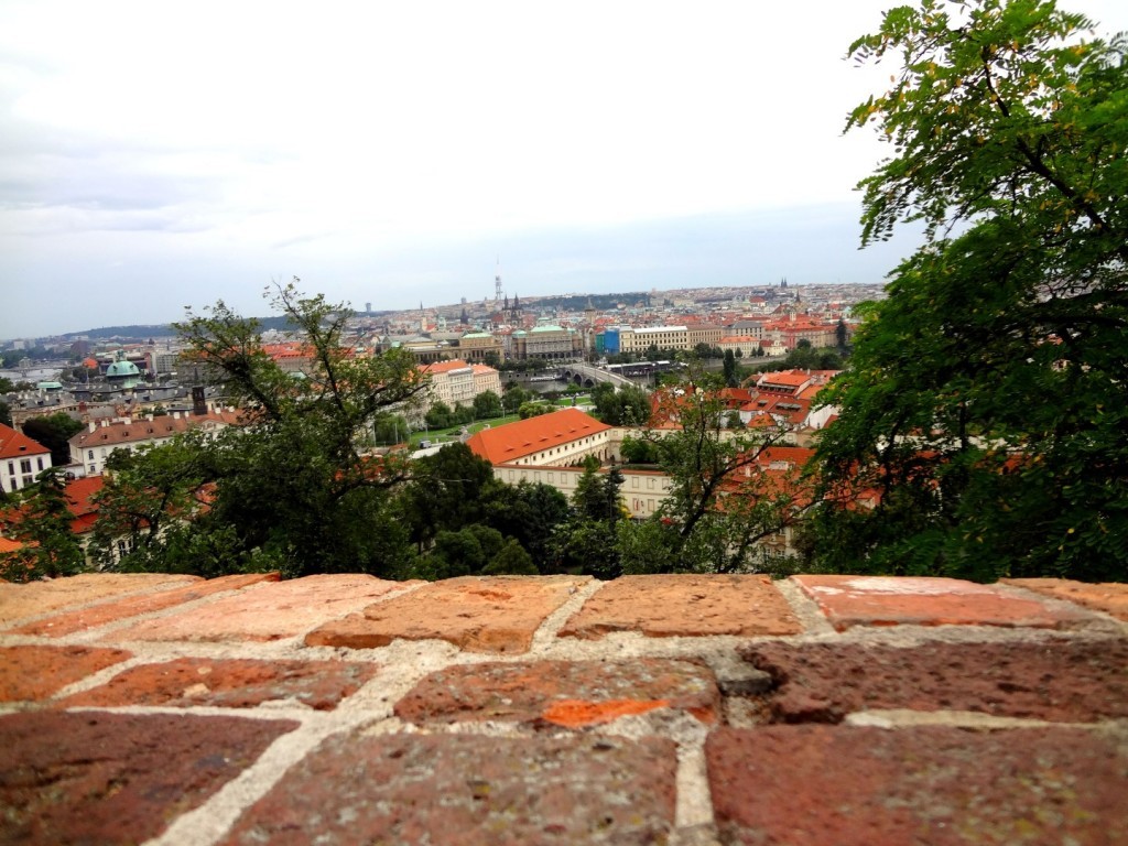 DSC03160 (Large).JPG