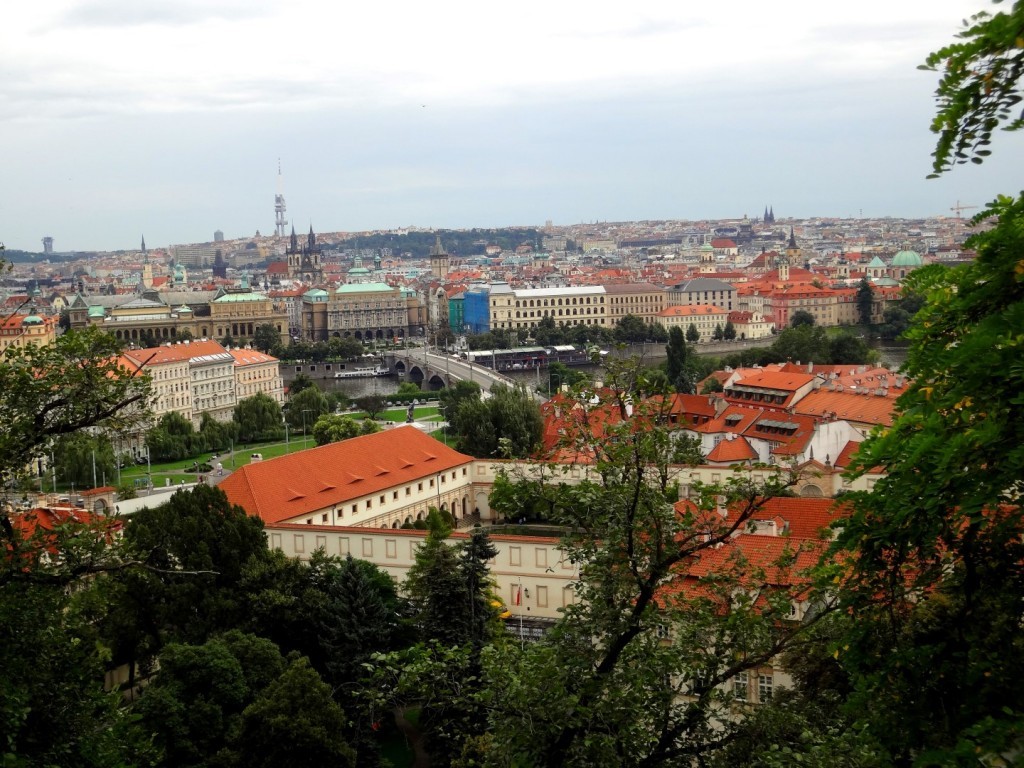 DSC03161 (Large).JPG